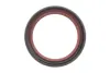 Комплект ланцюга OPEL Z10XE/Z12XE/Z14XEP із шестернями. INA 559 1821 41 (фото 9)