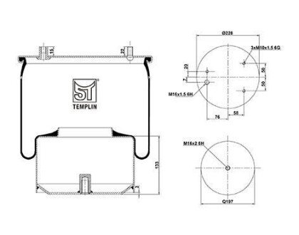 Подушка амортизуюча TEMPLIN 04.060.6106.460