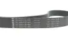 Комплект ременя генератора BMW 3 (G20/G80/G28)/5 (G30/F90) 2.0DH 19- B47 (8PK1162) INA 529 0568 10 (фото 4)