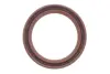 Комплект ланцюга ГРМ Toyota Corolla 1.8 VVTL-i 01-07 INA 559 1005 40 (фото 8)