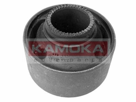 Автозапчастина KAMOKA 8800210