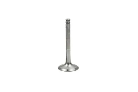 Клапан випускний 1,4TDI 1,9TDI 2,0TDI Skoda Fabia I II Octavia I II Roomster, VW Golf IV V Bora Jetta III VIKA PREMIUM 11091711435