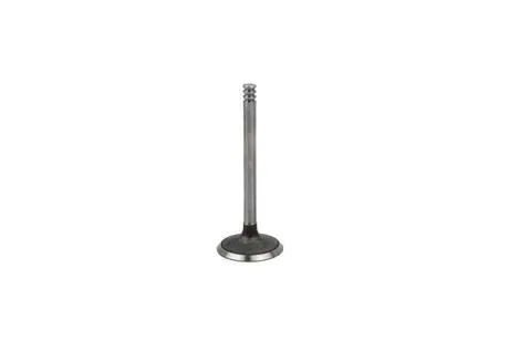 Клапан впускний 1,4TDI 1,9TDI 2,0TDI Skoda Fabia I II Octavia I II Roomster, VW Golf IV V Bora Jetta III VIKA PREMIUM 11091711535