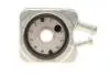 Фото запчастини 4 - радіатор масляний VW T4/LT 2.5TDI/Crafter 88-136PS (теплообмінник) ADLER 068117021B Радіатор масляний VW T4/LT 2.5TDI/Crafter 88-136PS (теплообмінник) ADLER 068117021B (фото 4)