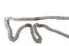 Комплект цепи ГРМ Ford Mondeo 2.0/2.2TDCi 00-07/Transit 2.0DI/TDCi 00-06 75/86/100/125kw INA 559 1815 30 (фото 3)