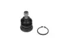 Кульова опора KAVO PARTS SBJ7501 (фото 3)