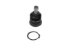 Кульова опора KAVO PARTS SBJ7501 (фото 4)