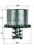 Термостат BEHR TX3779 (фото 1)