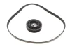 Комплект ременя генератора BMW 3 (F30/F80/G30/F)/5 (G30/F90/G31)/X3 (G01/F97) 2.0 15- B48 INA 529 0579 10 (фото 2)