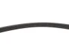 Комплект ременя генератора BMW 3 (F30/F80/G30/F)/5 (G30/F90/G31)/X3 (G01/F97) 2.0 15- B48 INA 529 0579 10 (фото 6)