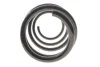 Пружина (передняя) Renault Scenic III/Grand Scenic III 1.5dCi/1.6dCi/1.9dCi/2.0 16V 09- (вэн) SOLGY 212151 (фото 3)