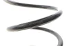 Пружина (передняя) VW Passat B6/B7 1.4-1.8TSI/2.0FSI 05-14 (седан/унив)/Skoda SuperB 1.4TSI 08-15 SOLGY 212142 (фото 3)