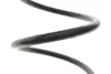 Пружина (задня) Renault Laguna III 1.5dCi/2.0dCi/1.6 16V/2.0 16V 07-15 SOLGY 212143 (фото 3)