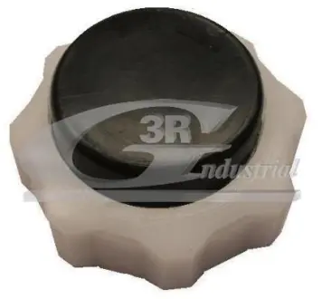 Запор 3RG 80631