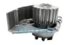 Насос води DAYCO DP032 (фото 1)