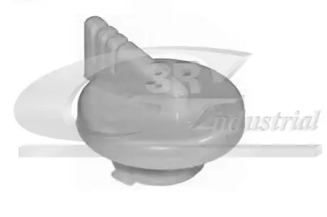 Запор 3RG 81613