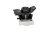 TOYOTA Опора двигуна права RAV 4 III 2.0/2.4 05-13 KAVO PARTS EEM-9379 (фото 4)