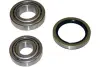 Набір підшипника маточини колеса KAVO PARTS WBK4008 (фото 1)