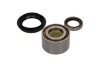 Набір підшипника маточини колеса KAVO PARTS WBK9039 (фото 3)