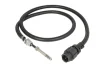 Датчик температури вихлопних газів (2PIN) EURO 5 RVI KERAX, MAGNUM, MIDLUM, PREMIUM 2, VOLVO 9700, 9900, FE, FH, FH12, FH16, FL II, FM, FM II, FMX 08.93- DINEX 81033 (фото 1)