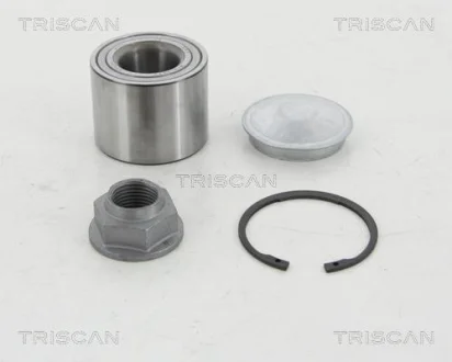 RENAULT підшипник маточини задн Kangoo 08-, Dacia Duster 10- TRISCAN 8530 10293