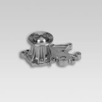 Насос води HEPU P7506