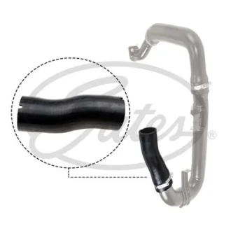 Шланг інтеркулера Прав (Нижн, діаметр 48/50мм, довжина 170мм, чорний) FIAT LINEA 1.6D 06.09- GATES 090479 (фото 1)