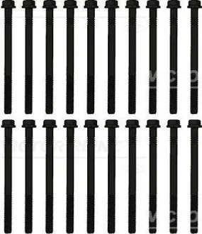 Набір болтів ГБЦ VOLVO B6, FL6, L D6A180-TD63ES REINZ VICTOR REINZ 143228201